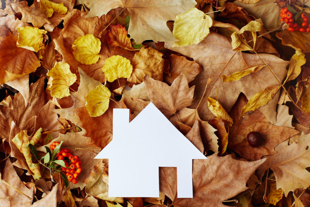 autumn flat lay with pyracantha, paper home and leaves.