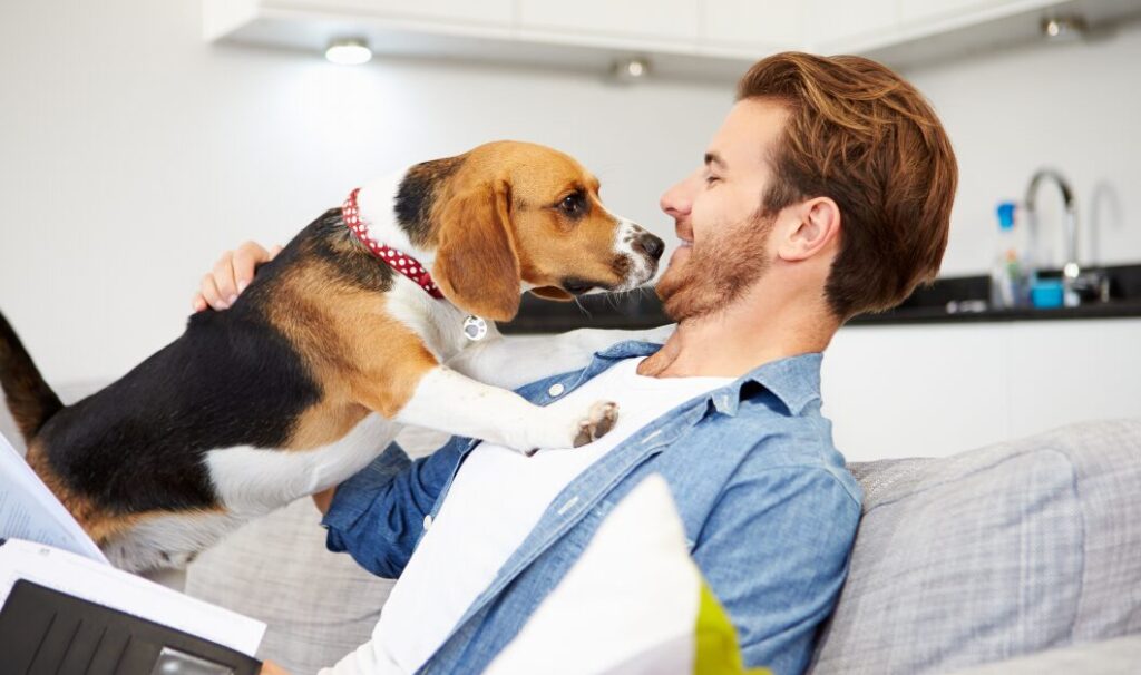 Tenant on a sofa playing with a dog, showing a pet friendly rental home.