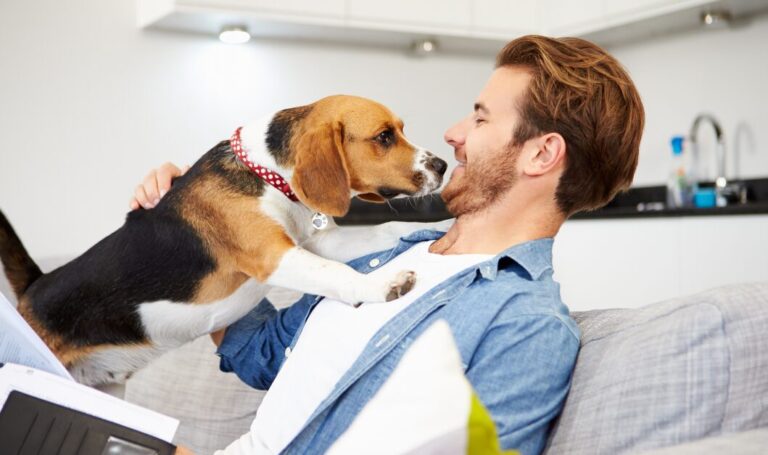 Tenant on a sofa playing with a dog, showing a pet friendly rental home.